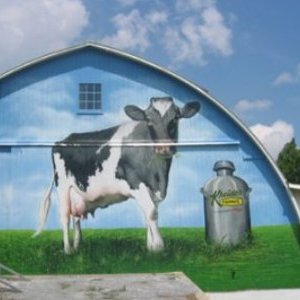 cow mural300x300pixel