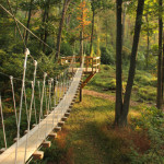 Winter Zipline Experience | Stevens, PA 